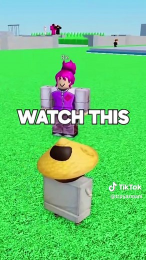 Unleashing the Fun of Teriyaki in Roblox