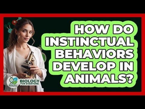 How Do Instinctual Behaviors Develop In Animals?