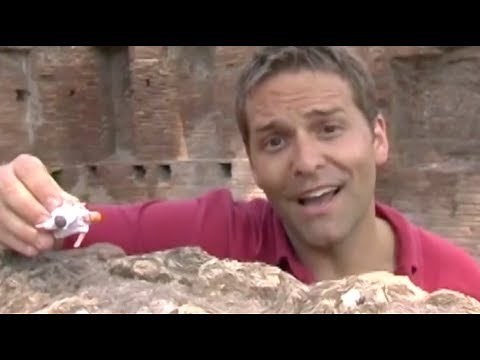 Romulus and Remus: The Legendary Origins of Rome