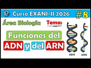 EXANI II 2026 Biology Course: Functions of DNA and RNA #8