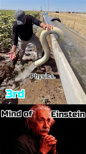 Wait till the last one 🔥 #shorts #MindofEinsteinpkphysics #physics