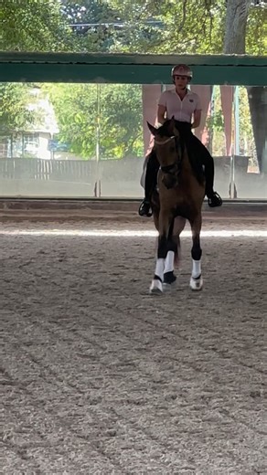 Great lesson today with @renilladressage 💖 Thankyou for instruction that sets me up mentally and physically for success and keeps me tuned into my horses needs. Each ride with Otero is a learning process for both of us being we are both fast twitch “Get the job done” thinkers. It takes confident coaching to keep me on track for I am the real challenge 🤣🤣🤣 #equestrian #rider #horsegirl #horseriding #dressagerider #dressage #horselover #equestrianlife #equestrianfitness #dressage | The Functio