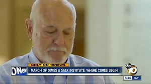The Salk Institute continues the work of Jonas Salk, 63 years after the polio vaccine was declared safe and soon stopped the polio outbreak in our nation. Steve Atkinson 10News spoke with a polio survivor and the Salk Institute to learn more ahead of the March for Babies this weekend. 10News will walk with March of Dimes California SUNDAY. To join us or donate visit: https://bit.ly/2Hfb76R | 10News – ABC San Diego KGTV