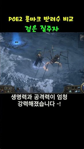 POE2 룬마크 반려수 능력치 비교 [ 검은 질주자 ] 1티어 ?