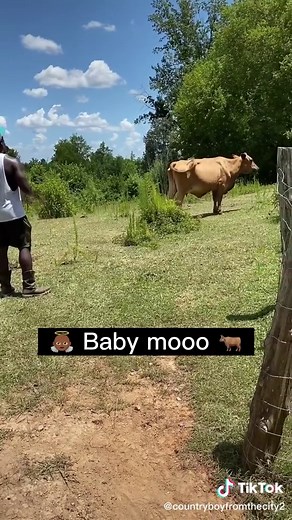 Calling the cows home 😂! This is my special call that my cows come running to! #tiktoktaughtme #foryou #fyp #foryoupage #education #educational #learn #learning