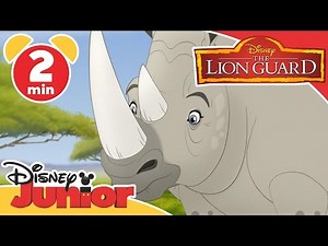 The Lion Guard | Tickbirds and Rhinos | ‪@disneykids‬