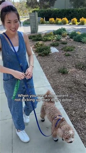 Need a cute poop bag holder so you never forget? 😉 Never forget poop bags again! SHOPSUNNYTAILS.COM