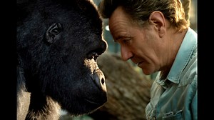 The One and Only Ivan (2020) - Where to Watch