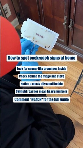 Five Signs of a Cockroach Problem at Home #shorts