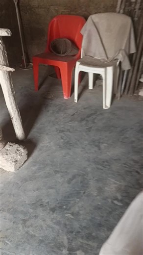 w t r model (@watermodel534)’s videos with original sound - OZIE FLOWER