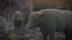 The wait is over! Animal Chronicles, our exciting new walking trail featuring 68 animal eco-sculptures, opens today! The structures are made from natural materials, including moss, wood, and stones, and they tell the story of the Bronx Zoo in a visually enchanting and whimsical way. “We have always been involved in conservation right from the start, saving animals and the places they live around the world,” says Jim Breheny, Director of the Bronx Zoo. “Animal Chronicles celebrates some of our su