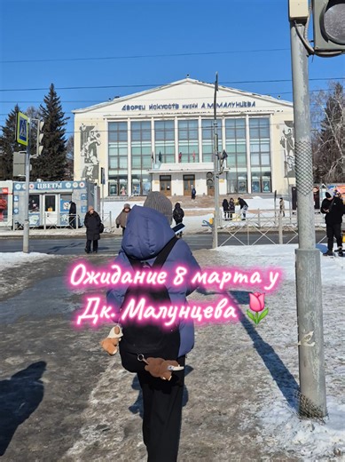 Тюльпаны и мимоза 🌷🏵 #8марта #омск55 #тюльпаны