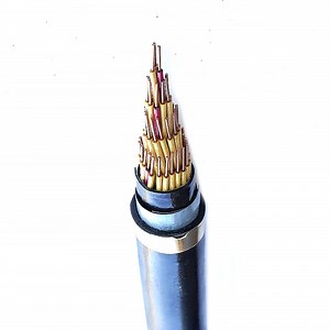 [Hot Item] Copper Kyjv XLPE Insulated PVC Shielded Control Wire Cable for Installation Applications