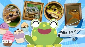 What’s your amphibian personality?