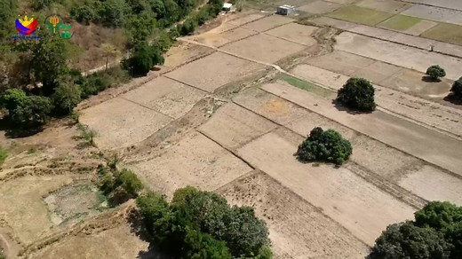 As we cap this year, join us on our last episode of Market Talks as we delve into the importance of food safety and regulatory compliance, a pathway to opening more market opportunities for technology developers, agripreneurs, and farmers. Listen to the meaningful discussions from DA-Food Development Center-Technology Development Division chief Neri Troy O. Camitan, First Nasugbu Natural Farmers Association president Analiza A. Villarba, and Angelo N. Padura. | DA - Bureau of Agricultural Resear