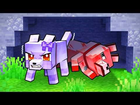 Saving a HURT WOLF in Minecraft!