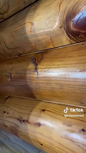 I’ve finally mastered cleaning my log walls 🫶🏼💪🏻 one wall down, a bunch to go 👊🏽 #logcabin #logwalls #cleaningtiktok #cleaningtips #worksmarternotharder #swiftie #mastermind