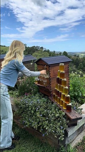 11 years since we introduced the Flow Hive to the world 🐝