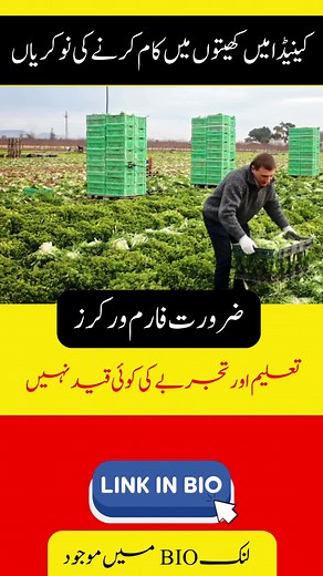 Farm Worker Jobs in Canada