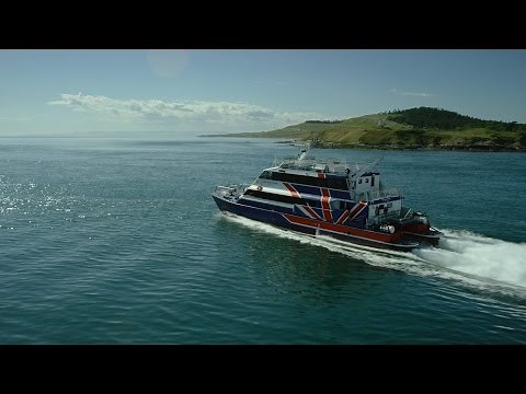 This is the Northwest: Seattle Whale Watching to the San Juan Islands | FRS Clipper