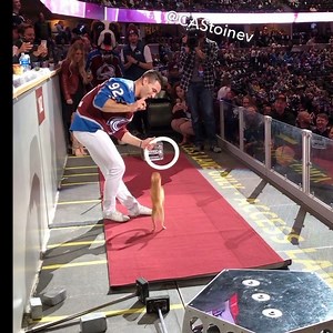 Percy Stoinev 🐕 Multi sport athlete! @coloradoavalanche | Christian Stoinev