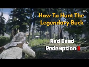 How To Find And Kill Legendary Buck Red Dead Redemption 2