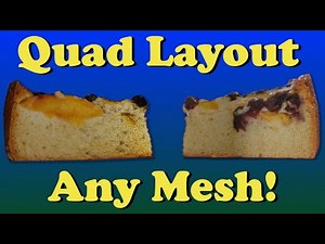 Make Any Mesh Into A Quad Layout - Using Instant Meshes