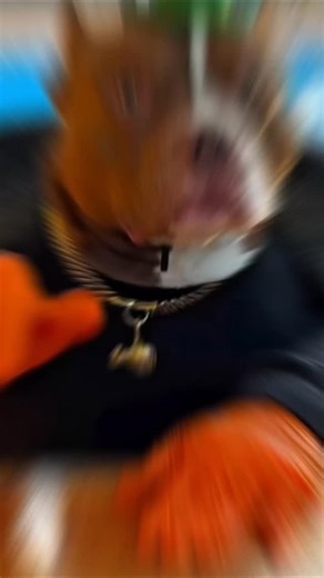 codigodejodedor on Instagram: "Señales de que te estás mucho la comida 🤤#viral #curiosidades #datoscuriosos"