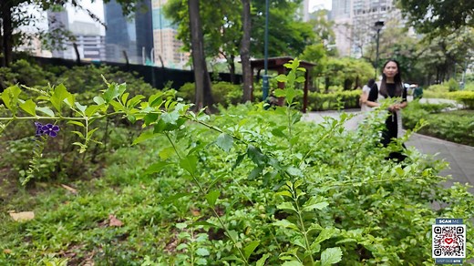 📣 This Week at the UCKG – Watch the Video for Full Details! Here’s what’s coming up: 🔥 Week 4 of 7 Saturdays of the Fast of Revolt – Saturdays 10am: fasting prayer = breakthrough ⚖️ Campaign of Faith for Justice – Join the Prayer of Agreement live every night at 10pm 📵 Fast of Daniel begins June 22 – 21 days to focus on God and be renewed ✨ Also This Weekend: 💥 The Sunday of Empowerment – Receive strength to overcome and move forward. At 7am - Tagalog, 10:30am - Chinese and 9am and 11am - En