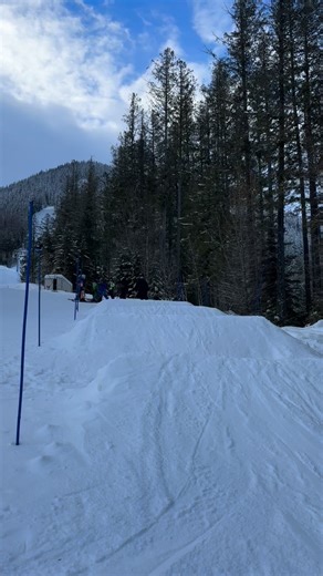 Fernie Freestyle on Instagram: "Who says Old Dogs can’t learn new tricks. ADULT freestyle is here with Fernie Freestyle. Come join us in the moguls, park and in the air. Weather you want to level up to keep up with your kid or push yourself to a new aspect of skiing. We cater to all levels 18+. Program starts in the New Year running on Wed 1-4. We will train in our private Mogul course and Slopestyle park. Join for the 10 weeks or drop in when it works. All adults must have a freestyle BC member