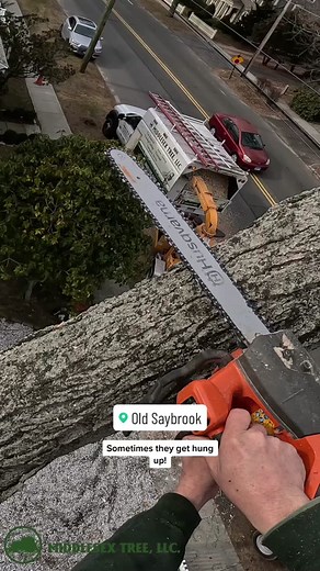 #treework #arborist #logging #treemaintenance #arboristsoftiktok #treeservice #arbortec #treebiz #chainsaw #treesurgeon