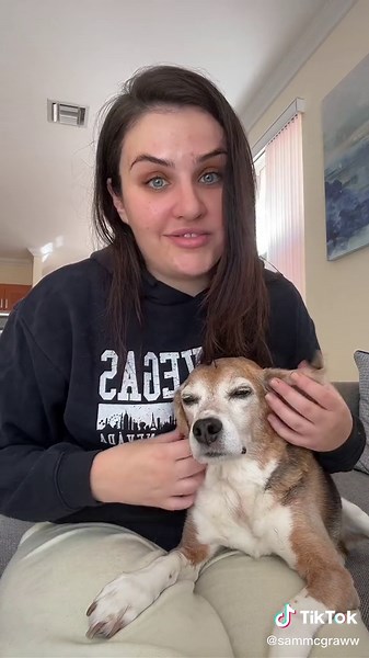 Pros and Cons of Adopting a Lab Beagle: What You Should Know