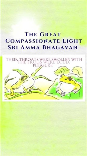 Sri Amma Bhagavan Meditation #4