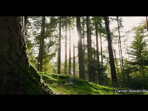 Clarinet ASMR, Relax / Clarinet Setsuko