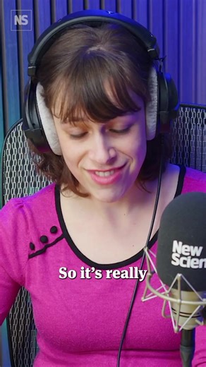 Growing evidence of life on Mars👽️ Analysis of minerals found by the Perseverance rover at Jezero crater suggests that they should be considered potential biosignatures. While a definitive ruling will only be possible once the samples have been retrieved and returned to Earth, this is the strongest sign we’ve had yet that microbial life once existed on Mars. In this video Rowan Hooper and Penny Sarchet discuss the results, presented at the Lunar and Planetary Science Conference in Texas in Marc