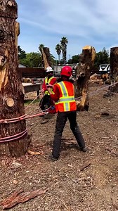 2M views · 7K reactions | #Repost from @jaredabrojena @academy.trained . Taking time to create a scenario and build a proper plan. Then communicate to execute!!! @baileysonline #treecareindustry academy.trained #industrialathelete #communicatetoexecute #atlastree #academytrained #2tg #arbtraining #training #arboristclass | Bailey's Outdoor Power Equipment | Facebook