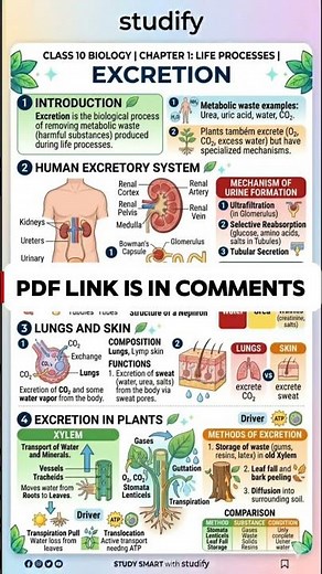 Last Minute Revision PDF 🚨 | Class 10 Biology Chapter 1 #class10 #biology #lifprocesses