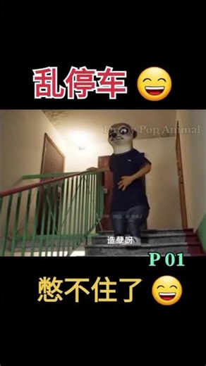 Pet Road Rage Comedy Surprised 😄 #FunnyAnimation #CartoonComedy #FunnyAnimals #EpicFailOptimization