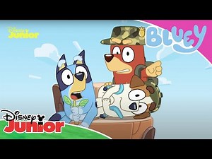 Bluey | Compilação Bluey e os seus amigos