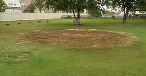 Customers unhappy with online pool dealer after waiting months for delivery