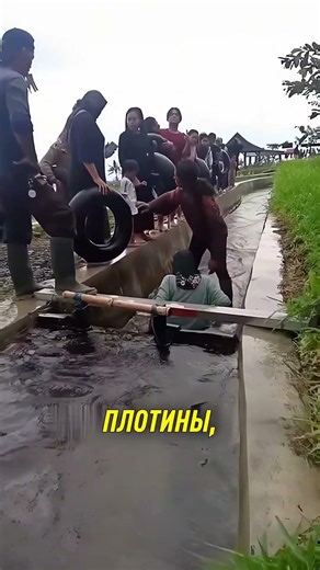 Бюджетный аквапарк 😱