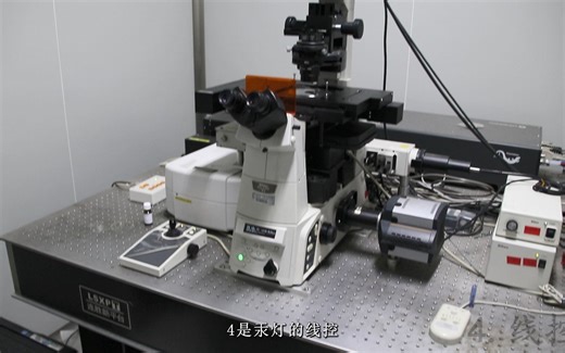 共聚焦显微镜使用流程