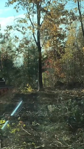 Un happy neighbor thought she was gonna stop the bogie…. Nooope #tigercat #635d #logginglife | Florence Marigold