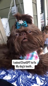 Using Mabel’s viral video to do the teeth challenge 😂😂 | Mabel The Shih Tzu