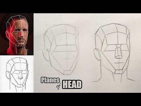 How to draw planes of head using Loomis method
