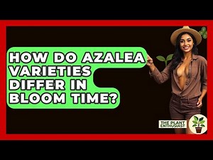 How Do Azalea Varieties Differ In Bloom Time? - The Plant Enthusiast