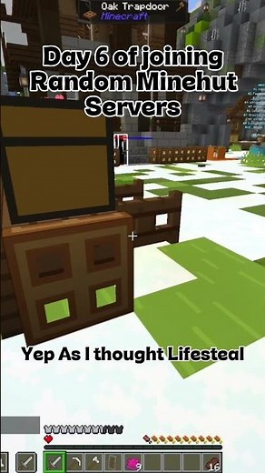 Day 6 of Joining Random Minehut Servers