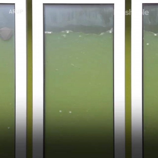 Living algae facades cover buildings, sucking in CO2 and sun to produce renewable energy. | Mashable