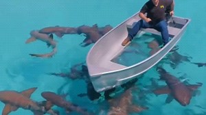 世界上最夸张的广告，却意外很实用