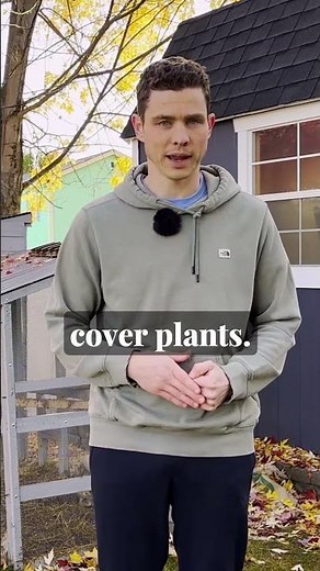 Replace Your Turf Grass with these Ground Covers